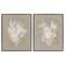 Stupell Industries Natural Herb Impression 2pc Framed Giclee Set Design by Susan Jill